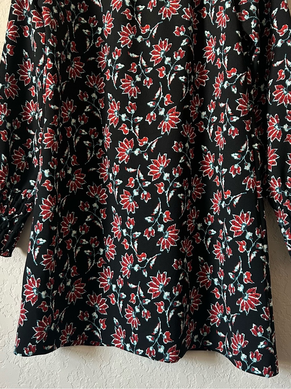 Zara - Picture 9 of 10